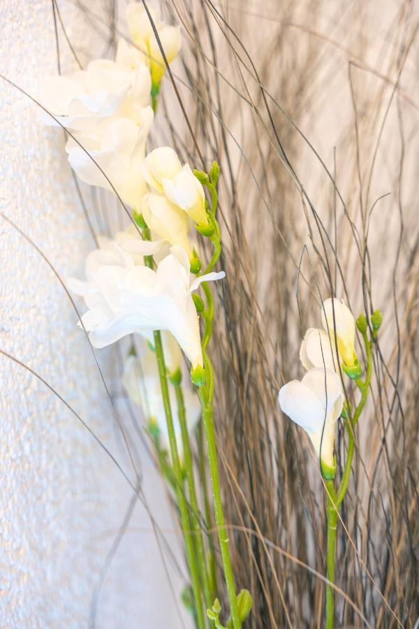 #2 Grosses Zimmer Mit Pool Und Garten เมมมิงเงน ภายนอก รูปภาพ